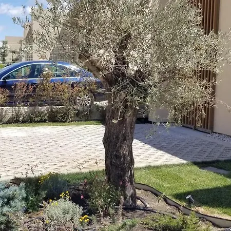Διαμέρισμα Blue Bay Apartment Green Coast *